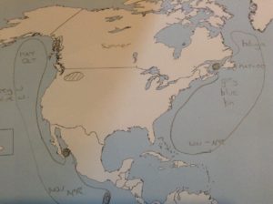 northamerica