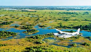 okavango