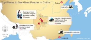 pandamap