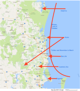 sunshinecoast